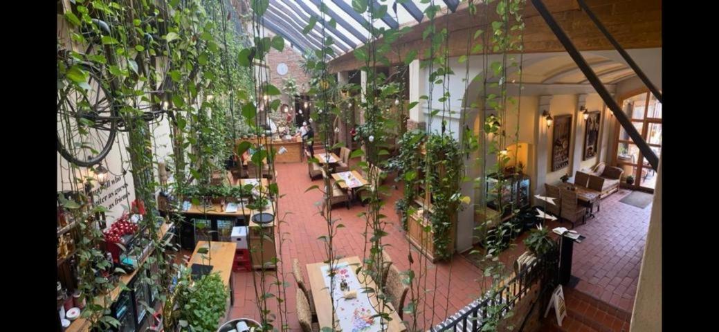 Pensiunea Gasthaus Alte Post Sighişoara Exteriör bild