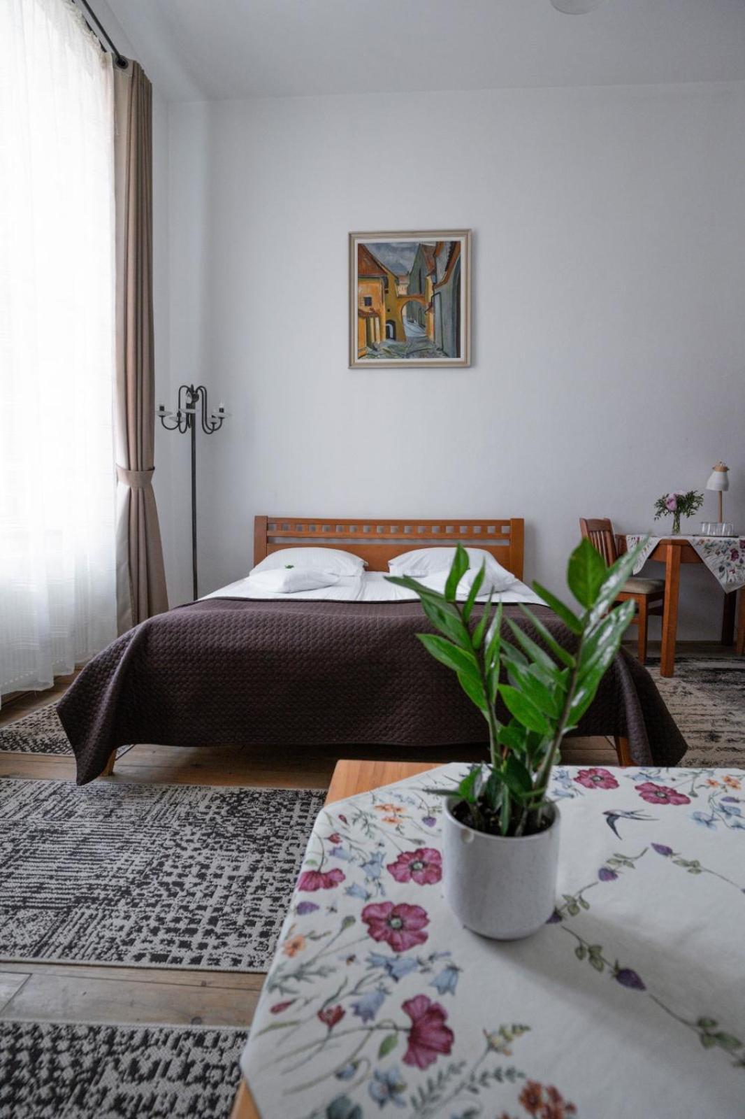 Pensiunea Gasthaus Alte Post Sighişoara Exteriör bild