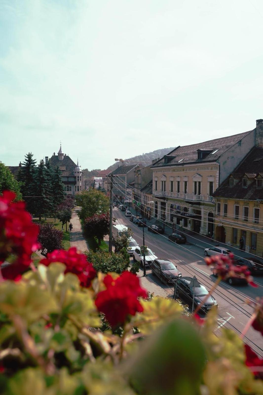Pensiunea Gasthaus Alte Post Sighişoara Exteriör bild